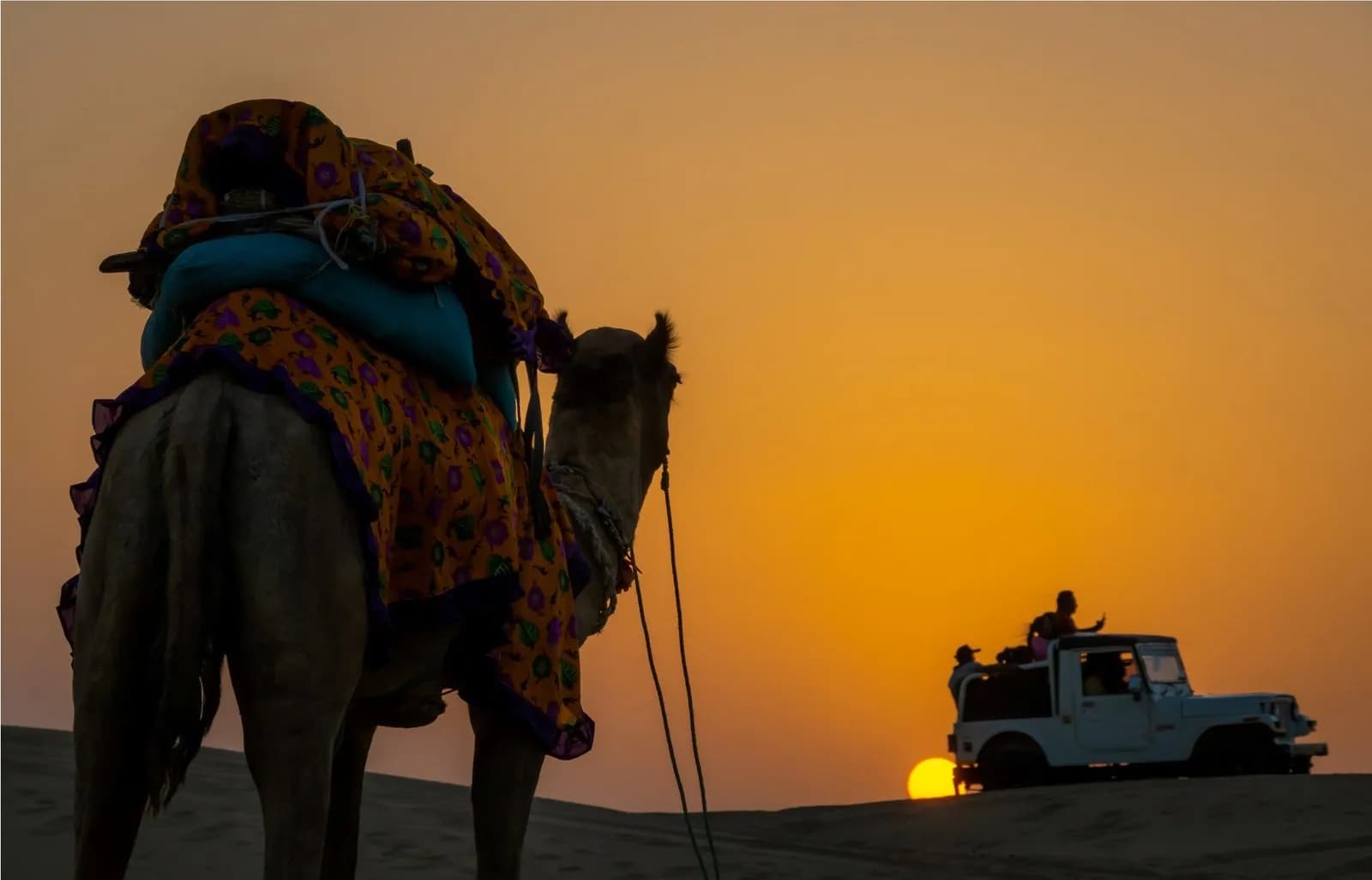 3 Nights 4 Days Jaisalmer with Wild Life of Thar Desert
