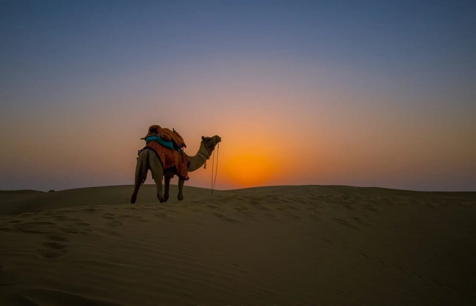 5 Nights 6 Days Thar Desert Nomadic Camel Safari