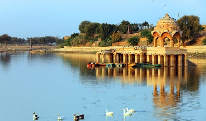 Jaisalmer Full Day Wildlife Tour