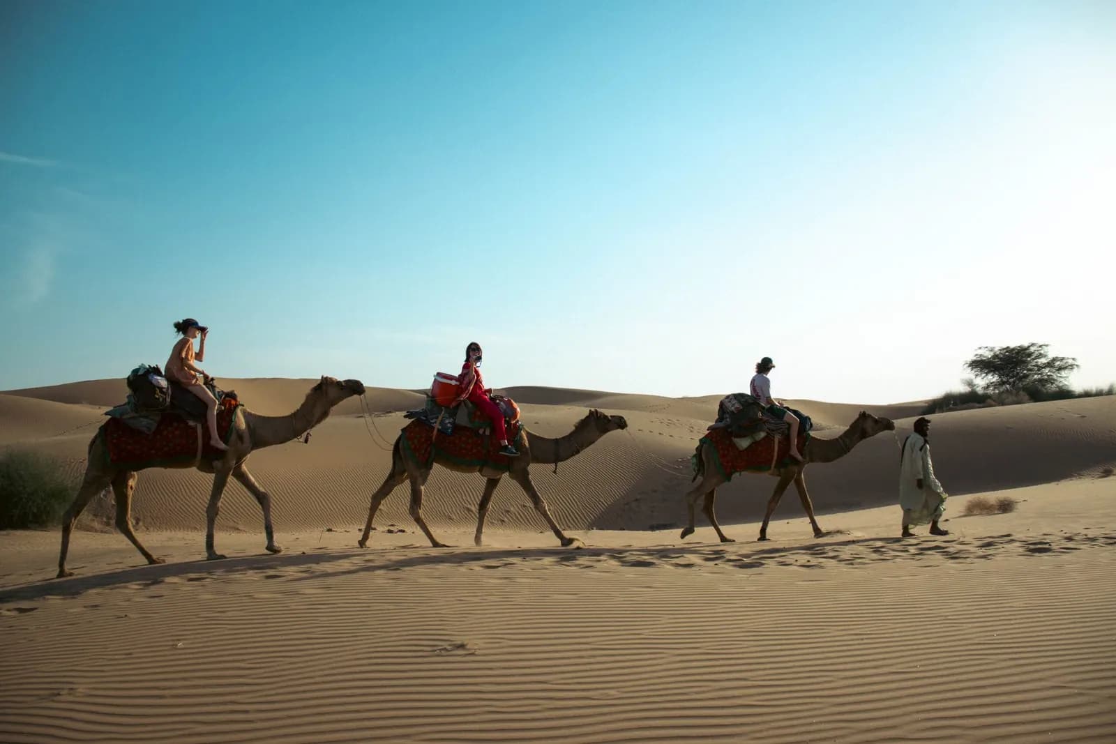 Camel safari caravan crossing the Thar Desert dunes near Jaisalmer