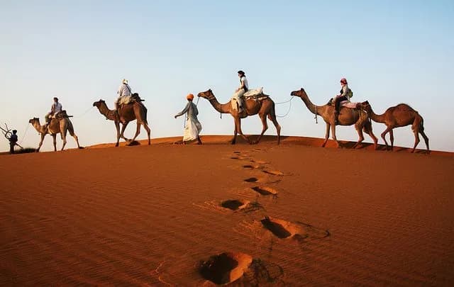 Golden Sunset Camel Safari in Jaisalmer – Experience the Magic of Thar Desert